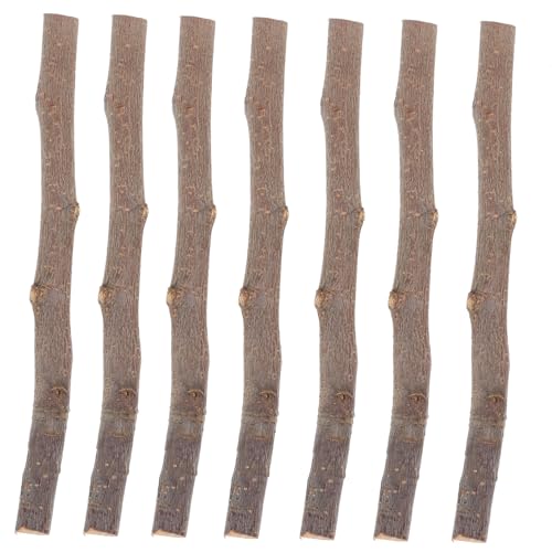 HOODANCOS 10 Stück Zweige Verzieren Natürliche Zweige Treibholz Mini-sticks Natürlicher Zweig Protokoll Zweige Zum Basteln Stöcke Geäst Stängel Fallen Stäbchen Zur Dekoration Hölzern HOODANCOS 10 Stück Zweige Verzieren Natürliche Zweige Treibholz Mini-sticks Natürlicher Zweig Protokoll Zweige Zum Basteln Stöcke Geäst Stängel Fallen Stäbchen Zur Dekoration Hölzern von HOODANCOS