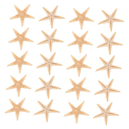 HOOTNEE 20 Stück Mini Seesterne aus Naturmaterialien für DIY Kerzenprojekte Strand Thema Deko und Partyzubehör Aromatherapie und Epoxidharz Dekorationen HOOTNEE 20 Stück Mini Seesterne aus Naturmaterialien für DIY Kerzenprojekte Strand Thema Deko und Partyzubehör Aromatherapie und Epoxidharz Dekorationen von HOOTNEE