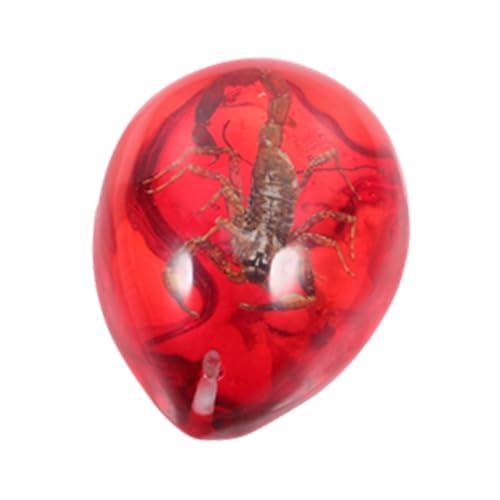 HOOTNEE Scorpion Kunsthandwerk Wassertropfenform Dekoratives Objekt Leicht und Tragbar Hochwertige Verarbeitung für Kreative Bastelarbeiten Resin Crafts HOOTNEE Scorpion Kunsthandwerk Wassertropfenform Dekoratives Objekt Leicht und Tragbar Hochwertige Verarbeitung für Kreative Bastelarbeiten Resin Crafts von HOOTNEE