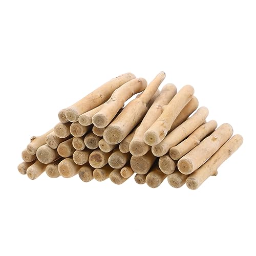HORIALENCE 250G Natürliches Antiseptische Holzstäbe für Mikrolandschafts Dekoration DIY Bastelmaterial und Geruchlos für Zuhause und Büro HORIALENCE 250G Natürliches Antiseptische Holzstäbe für Mikrolandschafts Dekoration DIY Bastelmaterial und Geruchlos für Zuhause und Büro von HORIALENCE