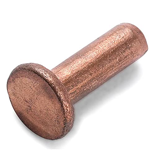 Fallen Sie nicht von Nieten ab, Flachkopf-Vollnieten, Durchmesser glatt, metrische Schlagnietbefestigungen (M2,5 x 5 mm)(M2.5 x 12mm) von HTGAOO