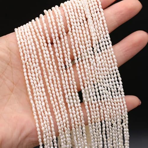 Natürliche Süßwasserperlen aus weißem Reis, kleine Perlen für DIY-Handwerk, Armband, Halskette, Schmuckherstellung, Größe 1,8–2 mm, weiß, 2–3 mm Natürliche Süßwasserperlen aus weißem Reis, kleine Perlen für DIY-Handwerk, Armband, Halskette, Schmuckherstellung, Größe 1,8–2 mm, weiß, 2–3 mm von HTRNDDFF