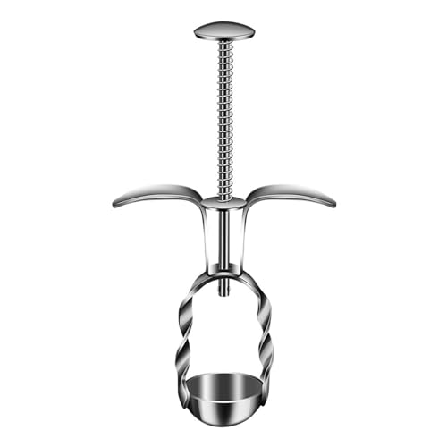 HUANGING Entkerner Obst Werkzeug Küche Kirschen Entkerner Effizienter Obstentkerner Obstentkerner für verschiedene Produkte HUANGING Entkerner Obst Werkzeug Küche Kirschen Entkerner Effizienter Obstentkerner Obstentkerner für verschiedene Produkte von HUANGING