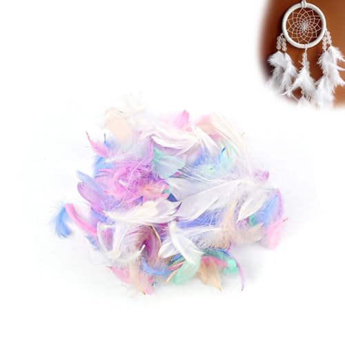 HUANR Bastelfedern, 400 Stück Federn Basteln, Farbe Vogelfedern, Haarschmuck Federn, Federn für Traumfänger, Federn für Dekorieren von Geburtstagsfeiern, Hochzeiten, Weihnachten, Halloween HUANR Bastelfedern, 400 Stück Federn Basteln, Farbe Vogelfedern, Haarschmuck Federn, Federn für Traumfänger, Federn für Dekorieren von Geburtstagsfeiern, Hochzeiten, Weihnachten, Halloween von HUANR