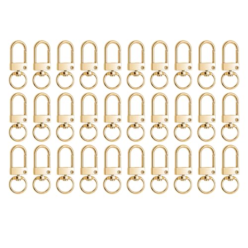 HUATEEN Karabiner Gold,30 Stück Goldene Schlüsselanhänger Set mit 360° Drehgelenk für DIY Keychain Rucksack Haustierhalsband & Türschlüssel Schlüsselring Karabiner D-Ring Schwenker 1.8x3.2cm HUATEEN Karabiner Gold,30 Stück Goldene Schlüsselanhänger Set mit 360° Drehgelenk für DIY Keychain Rucksack Haustierhalsband & Türschlüssel Schlüsselring Karabiner D-Ring Schwenker 1.8x3.2cm von HUATEEN