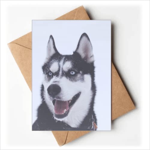 Einladungskarten für große Hunde, Schnee-Husky-Bild, Grußkarten mit englischer Aufschrift "You are invited" von HUEBRA