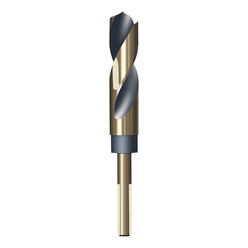 HUHAO Bohrer mit reduziertem Schaft, 12 mm, 10 mm Schaft, HSS 4341, gerader Spiralbohrer mit Titan- und schwarzer Nitrid-Beschichtung für Edelstahl und legierte Metalle HUHAO Bohrer mit reduziertem Schaft, 12 mm, 10 mm Schaft, HSS 4341, gerader Spiralbohrer mit Titan- und schwarzer Nitrid-Beschichtung für Edelstahl und legierte Metalle von HUHAO