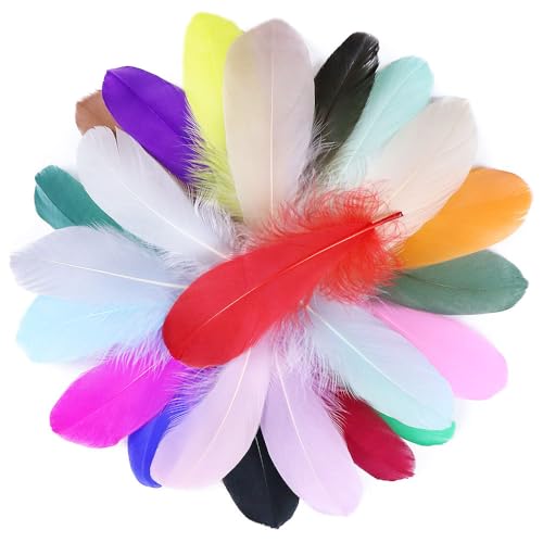 Federn zum Basteln, natürliche Gänsefedern zum Basteln, Federn für Hochzeit, Zuhause, Party-Dekorationen, DIY-Traumfänger/Ohrringe, Geschenkbox-Füllung, Ornament-Dekoration (100 Stück), mehrfarbig von HUIQIHANG