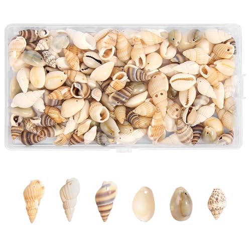120 Stück Muscheln Deko mit Loch 6 Stile, Natürliche Muscheln für Strand DIY Muscheln zum Basteln für Armbandschmuck, Vase Füllstoffe Fisch Panzer Kerzenherstellung Aquarium Vasenfüller 120 Stück Muscheln Deko mit Loch 6 Stile, Natürliche Muscheln für Strand DIY Muscheln zum Basteln für Armbandschmuck, Vase Füllstoffe Fisch Panzer Kerzenherstellung Aquarium Vasenfüller von HURODZ