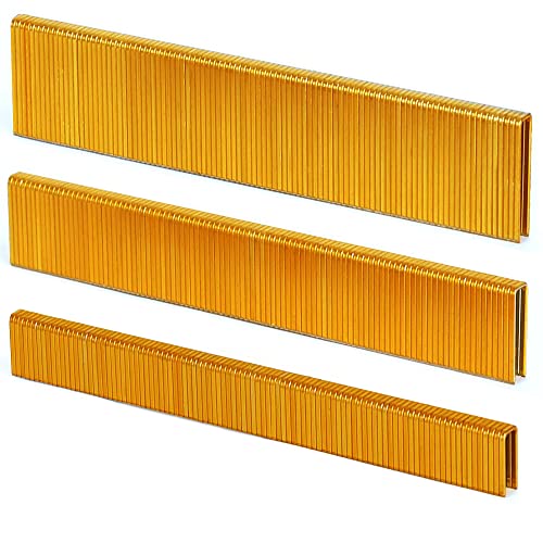 HW HAMWOO 18 Gauge x 1,27 bis 2,5 cm Multipack schmale Kronenklammern, 1200 Stück, einschließlich 1/2 Zoll - 400; 3/4 Zoll - 400; 2,5 cm - 400 (gelb) von HW HAMWOO
