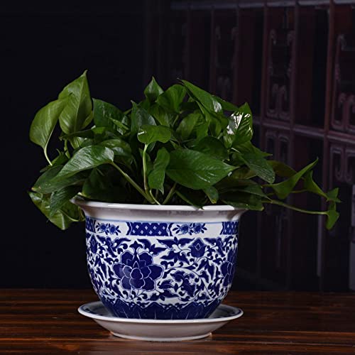 HXFFXHF Blumentöpfe mit Ablaufloch, dekorative Blumentöpfe mit Untersetzer, für Garten, Innen- und Außenbereich, Luftpflanzen, lebende Halter (C 14 x 21 cm) von HXFFXHF