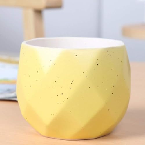 HXFFXHF Sukkulenter Blumentopf frische kreative Keramikfarbe Topf Fleisch Pflanze kreative Pflanzentopf Bunt Mini-Pflanze handgefertigt Garten Home Office Dekor Pflanzer Schöne Landschaft-weiß (blau) von HXFFXHF