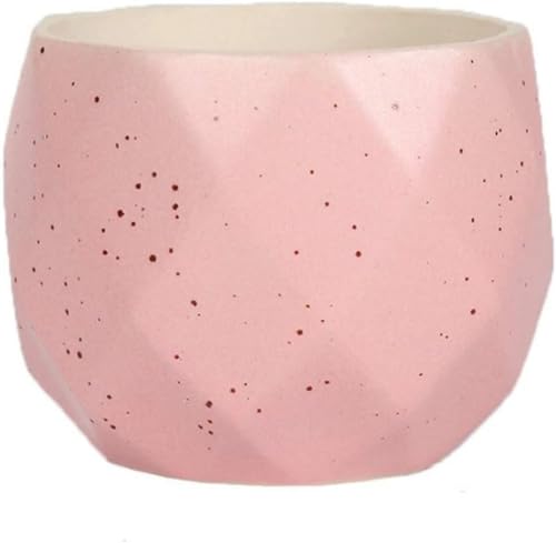 HXFFXHF Sukkulenter Blumentopf frische kreative Keramikfarbe Topf Fleisch Pflanze kreative Pflanzentopf Bunt Mini-Pflanze handgefertigt Garten Home Office Dekor Pflanzer Schöne Landschaft-weiß (blau) von HXFFXHF
