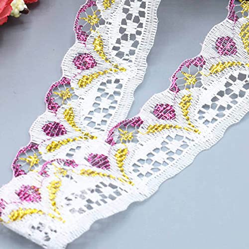Spitzenband, Spitzenbesatzband mit Blumenmuster, 30 mm x 9,1 m, mehrfarbig(Purple 1) von HYQOUKLR