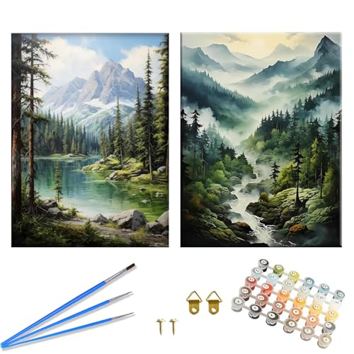 2 Stück Malen Nach Zahlen Erwachsene, Wald Malen Nach Zahlen, Wasserfall DIY Digitales Ölgemälde, DIY Landschaft mit Pinseln Artwork für Heimdekoration Geschenk 40 × 30 cm von HaOrchid