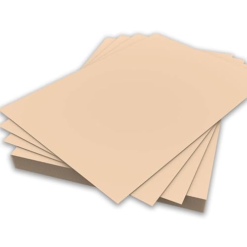 A4-Papier, 80 g/m², doppelseitiges Druckerpapier, Kopierer, Origami, Flyer, Zeichnen, Schule, Büro, Druck, 210 x 297 mm (A4, Lachspapier, 80 g/m², 100 Blatt) von Habercrafts