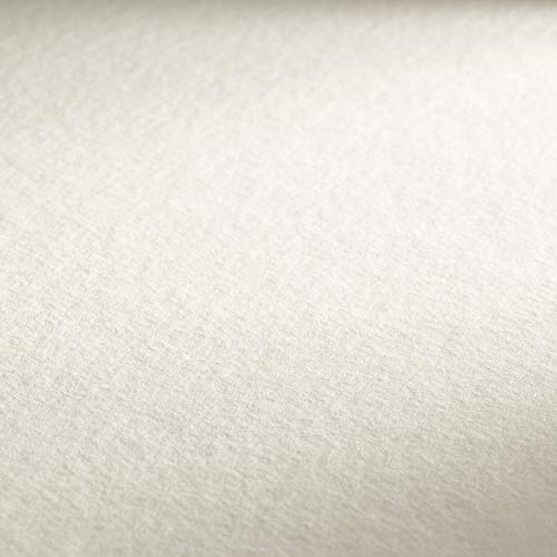 Hahnemühle Britannia, mattes naturweißes Aquarellpapier, 300 g/m², 10 Bogen, 50 x 65 cm von Hahnemühle