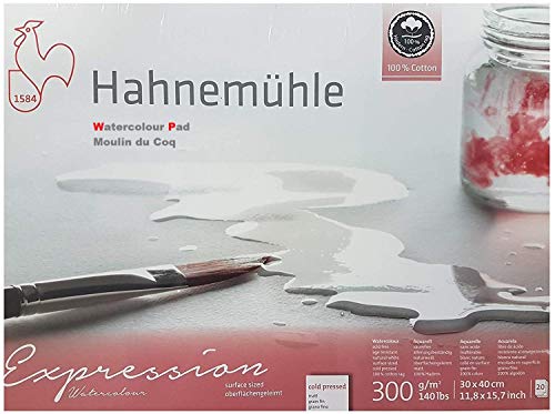 Hahnemühle Aquarellkarton Expression,100% Baumwolle, matt, 300 g/m², 30 x 40cm, 20 Blatt, made in Germany von Hahnemühle