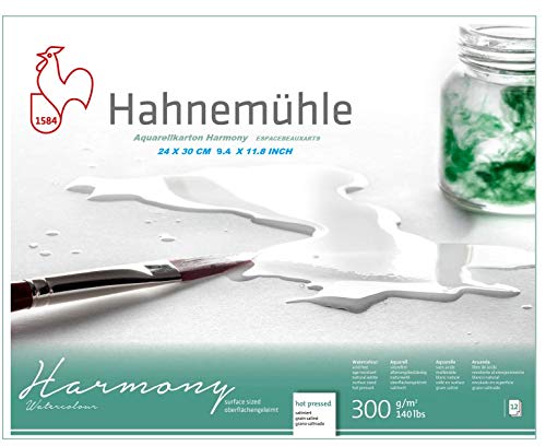 Hahnemühle Aquarellkarton Harmony, satiniert, 300 g/m², 24 x 30cm, 12 Blatt.Made in Germany von Hahnemühle