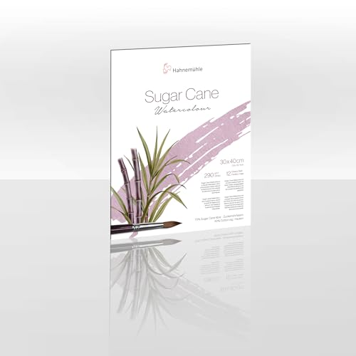 Hahnemühle Sugar Cane Watercolour, Aquarellpapier aus Zuckerrohr, 290 g/m², naturweiß, 12 Blatt (30 x 40 cm) von Hahnemühle