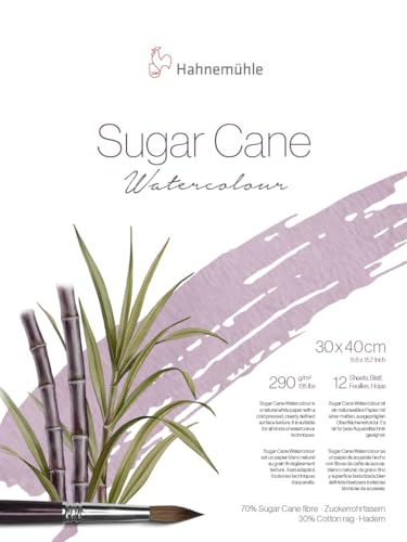 Hahnemühle Sugar Cane Watercolour, Aquarellpapier aus Zuckerrohr, 290 g/m², naturweiß, 12 Blatt (30 x 40 cm) von Hahnemühle