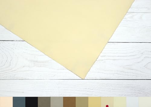 Hahnemühle The Collection, Ingres Pastel, 100 g/m², Echt-Bütten-Pastellpapier, antik, 62,5x48 cm, 25 Bogen Hahnemühle The Collection, Ingres Pastel, 100 g/m², Echt-Bütten-Pastellpapier, antik, 62,5x48 cm, 25 Bogen von Hahnemühle