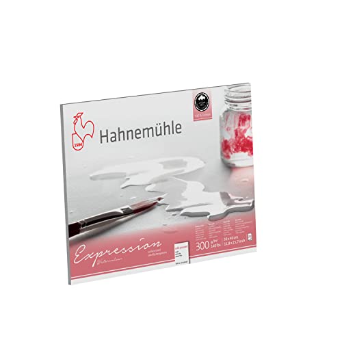 Hahnemühle Expression, mattes Aquarellpapier, 300 g/m², 30x40 cm, 100% Baumwolle Hahnemühle Expression, mattes Aquarellpapier, 300 g/m², 30x40 cm, 100% Baumwolle von Hahnemühle