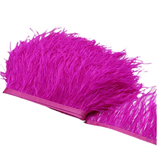 1 Meter Strauß Federverkleidung 8-10 Cm Federn Band Selvedge Für Hochzeitskleid von Haiki