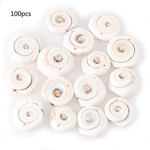100 Stcs Gemischte Weiße Muscheln Perlen Flach Großer Muschel Natürliche Muschelperlen Mit Löchern Schmuckhandwerk Accessoires 100 Stcs Gemischte Weiße Muscheln Perlen Flach Großer Muschel Natürliche Muschelperlen Mit Löchern Schmuckhandwerk Accessoires von Haiki