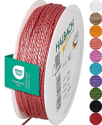 Halbach Seidenbänder Premium Kordel (Flamingo) | Breite 2mm Länge 50m | Made in Germany & Öko-Tex Zertifiziert | glänzende Satinkordel aus Acetat Halbach Seidenbänder Premium Kordel (Flamingo) | Breite 2mm Länge 50m | Made in Germany & Öko-Tex Zertifiziert | glänzende Satinkordel aus Acetat von Halbach Seidenbänder