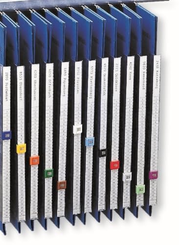 Organisationsstreifen Karton blanko VE=115x300 Schilder von Hamelin GmbH