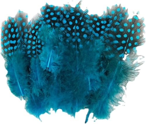 Perlhuhnfedern, 6–12 cm, natürliche gesprenkelte Federn für Bastelarbeiten, Collage, Kopfschmuck, Zuhause, Hochzeit, Geburtstag, Party, Dekoration, Blau, 100 Stück Perlhuhnfedern, 6–12 cm, natürliche gesprenkelte Federn für Bastelarbeiten, Collage, Kopfschmuck, Zuhause, Hochzeit, Geburtstag, Party, Dekoration, Blau, 100 Stück von Hamender