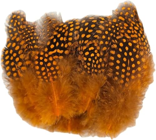Perlhuhnfedern, 6–12 cm, natürliche gesprenkelte Federn für Bastelarbeiten, Collage, Kopfschmuck, Zuhause, Hochzeit, Geburtstag, Party, Dekoration, Orange, 100 Stück Perlhuhnfedern, 6–12 cm, natürliche gesprenkelte Federn für Bastelarbeiten, Collage, Kopfschmuck, Zuhause, Hochzeit, Geburtstag, Party, Dekoration, Orange, 100 Stück von Hamender
