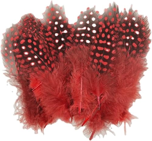 Perlhuhnfedern, 6–12 cm, natürliche gesprenkelte Federn für Bastelarbeiten, Collage, Kopfschmuck, Zuhause, Hochzeit, Geburtstag, Party, Dekoration, Rot, 100 Stück Perlhuhnfedern, 6–12 cm, natürliche gesprenkelte Federn für Bastelarbeiten, Collage, Kopfschmuck, Zuhause, Hochzeit, Geburtstag, Party, Dekoration, Rot, 100 Stück von Hamender