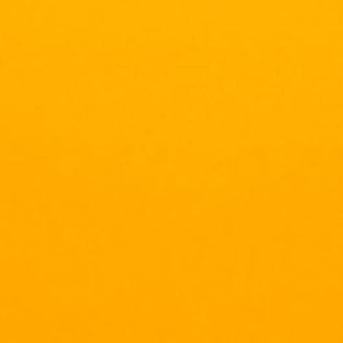 Hamilco Farbiges Scrapbook-Kartonpapier, 30,5 x 30,5 cm, 25 Stück (Sonne Gold) von Hamilco