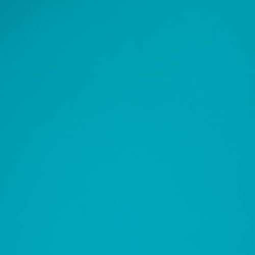 Hamilco Farbiges Scrapbook-Kartonpapier, 30,5 x 30,5 cm, 29,5 kg, 25 Stück (Korallenblaugrün) von Hamilco
