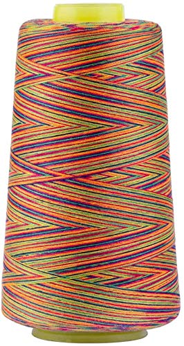 Polyester-Nähgarn-Spulen – 3000 Yards/1 Spule Garn, 40/2 Allzweckverbindungsfäden für Nähmaschine und Handreparaturarbeiten (Regenbogen) von Hanguin