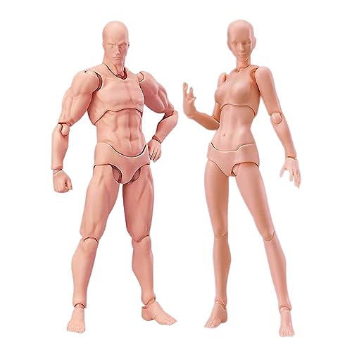 Künstlerpuppe mit Blockkopf, Gelenkfiguren, Figurenmodell zum Skizzieren, Malen, Zeichnen, Künstlerset männlich + weiblich (Fleisch) von Haniforever