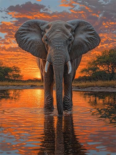 Diamond Painting Elefant 90x120 cm 5D Diamant Painting Bilder Erwachsene Sonnenuntergang DIY Mosaikherstellung Bastelset Crystal Art Diamant Malerei für Deko Wohnzimmer Geschenke für Frauen H-381 Diamond Painting Elefant 90x120 cm 5D Diamant Painting Bilder Erwachsene Sonnenuntergang DIY Mosaikherstellung Bastelset Crystal Art Diamant Malerei für Deko Wohnzimmer Geschenke für Frauen H-381 von Hanjunng