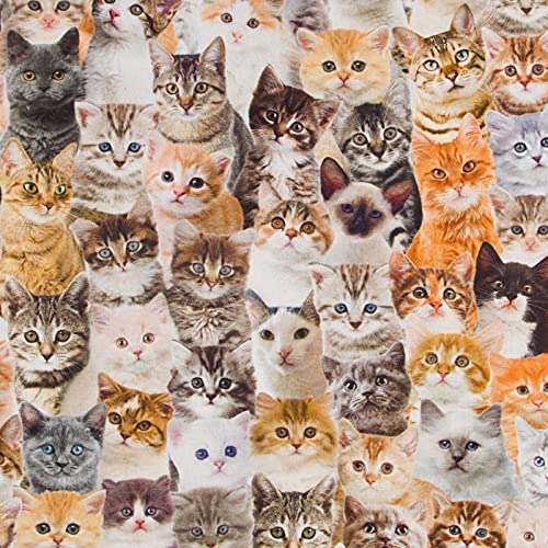Hans-Textil-Shop Stoff Meterware Süße Katzen - 1 Meter, Schadstoffgeprüft, Deko, Katzenstoff, Kissen, Vorhang, Tischdecken, Taschen von Hans-Textil-Shop