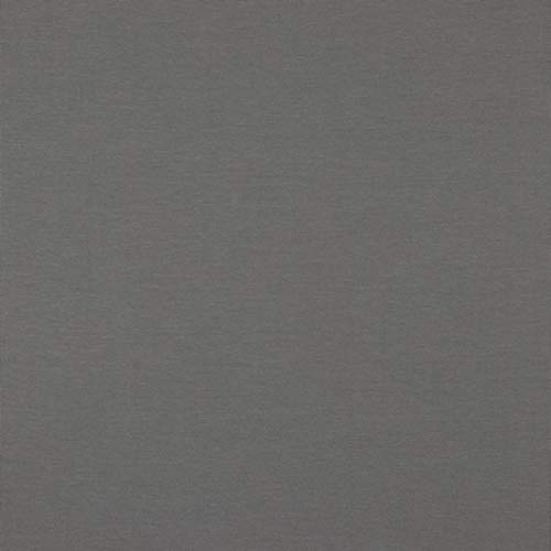 Hans-Textil-Shop Stoff Meterware Uni Jersey - 1 Meter, Schadstoffgeprüft, Jerseystoff, Deko, Kleidung, Shirts, Röcke, Leggings (Grau) von Hans-Textil-Shop