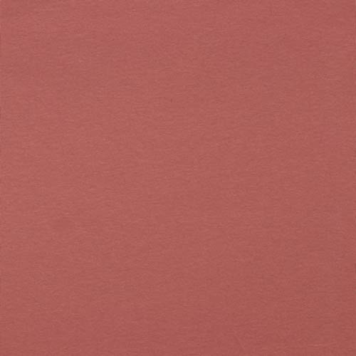 Hans-Textil-Shop Stoff Meterware Uni Jersey - 1 Meter, Schadstoffgeprüft, Jerseystoff, Deko, Kleidung, Shirts, Röcke, Leggings (Mauve) von Hans-Textil-Shop