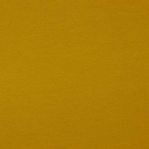Hans-Textil-Shop Stoff Meterware Uni Jersey - 1 Meter, Schadstoffgeprüft, Jerseystoff, Deko, Kleidung, Shirts, Röcke, Leggings (Senf) von Hans-Textil-Shop