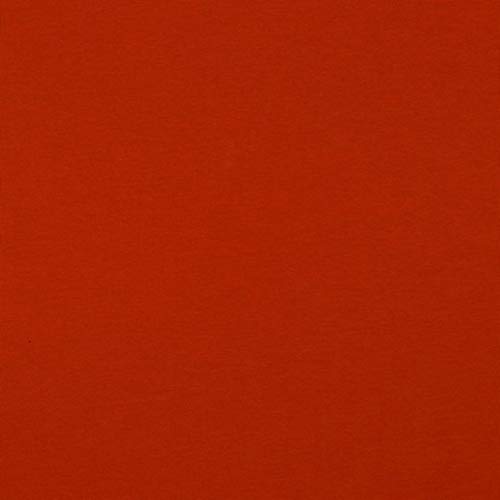 Hans-Textil-Shop Stoff Meterware Uni Jersey - 1 Meter, Schadstoffgeprüft, Jerseystoff, Deko, Kleidung, Shirts, Röcke, Leggings (Terra) von Hans-Textil-Shop