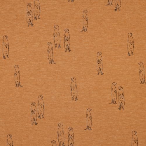 Stoff Meterware Kinderstoff Jerseystoff - 1 Meter, Jersey, Nähen, Kinder, Baby, Jungen, Mädchen, Bekleidung, Shirt (Erdmännchen Camel) von Hans-Textil-Shop