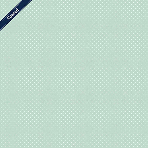 Stoff Meterware Punkte 2 mm - 1 Meter - Beschichtet, Wasserdicht & Schmutzabweisend - Für Outdoor Kissen, Tischdecken, Taschen (Mint) von Hans-Textil-Shop