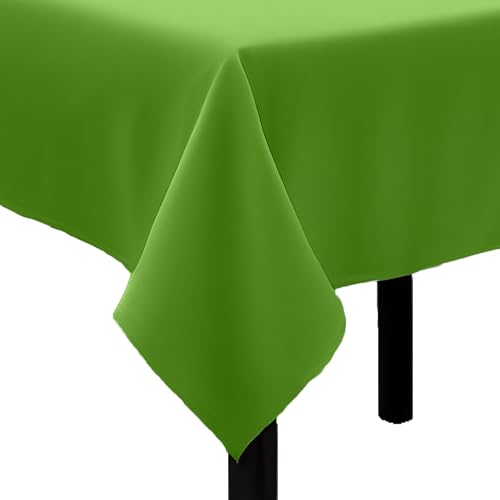 Tischdecke Uni Polyester - Einfarbig, Pflegeleicht, Bügelfrei, Tischtuch, Tischwäsche, Privat, Restaurant, Hotel, Handgefertigt, Made in Europa (Hellgrün, 130x220 cm) von Hans-Textil-Shop