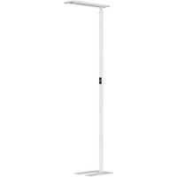 Hansa Larimar Stehlampe weiß 58 W von Hansa