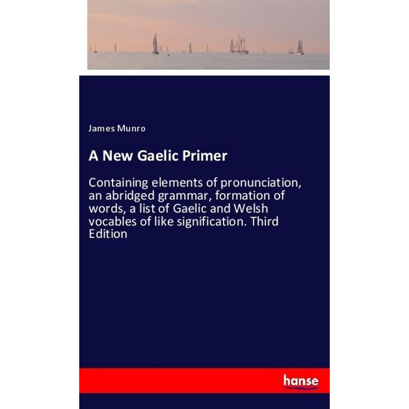 A New Gaelic Primer - James Munro, Kartoniert (TB) von Hansebooks