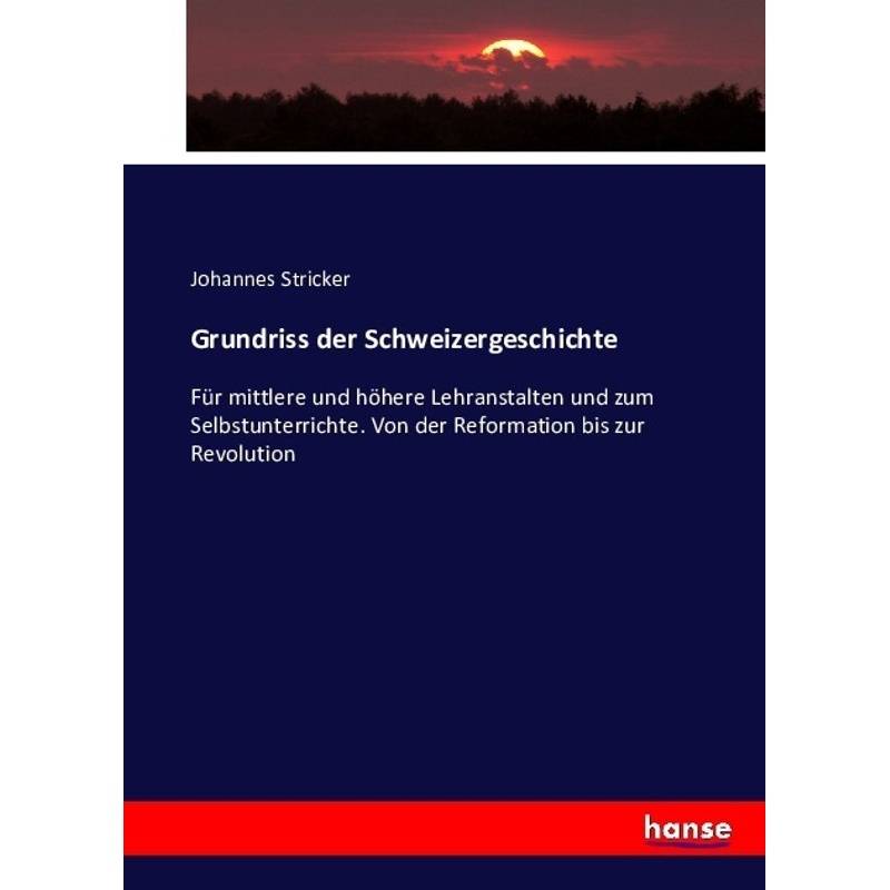 Grundriss Der Schweizergeschichte - Johannes Stricker, Kartoniert (TB) von Hansebooks